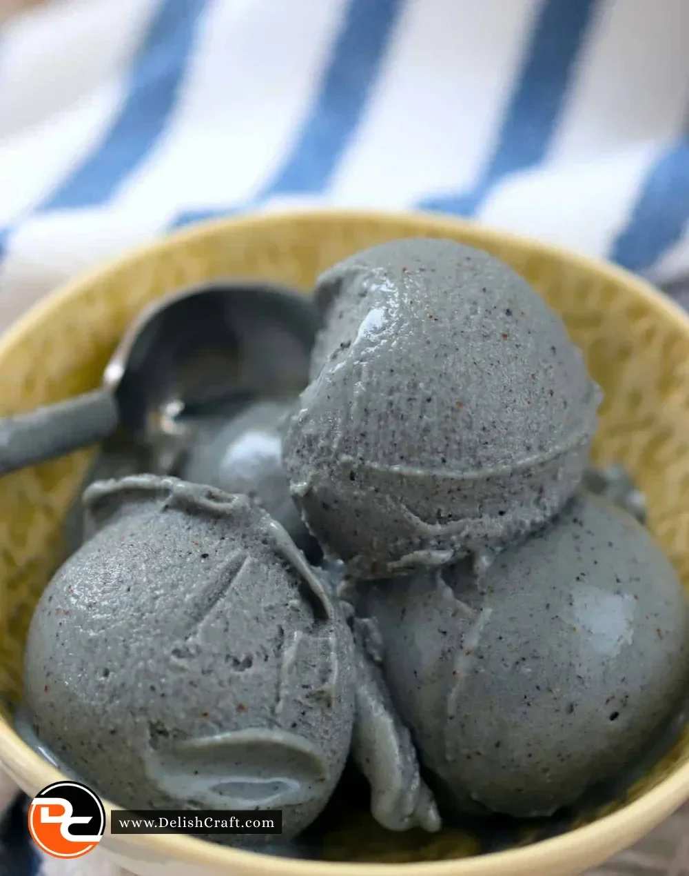 Ninja Creami low carb blueberry dessert served in a bowl with fresh blueberries