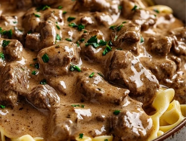 Creamy beef stroganoff served with noodles on a plate